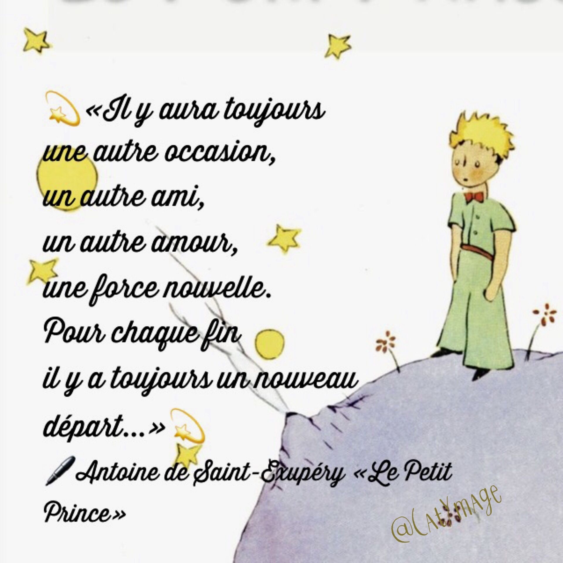 phrase d'Antoine de Saint-Exupéry dans "Le petit Prince" si juste : Il y aura toujours une autre occasion, une autre ami, un autre amour, une force nouvelle. Pour chaque fin il ya toujours un nouveau départ.